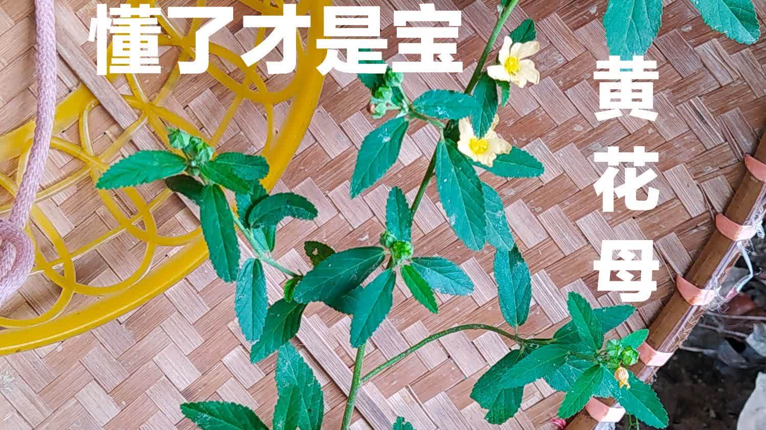 360影视 影视搜索