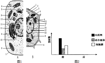 圖1表示動物,植物細胞二合一的亞顯微結構模式圖.