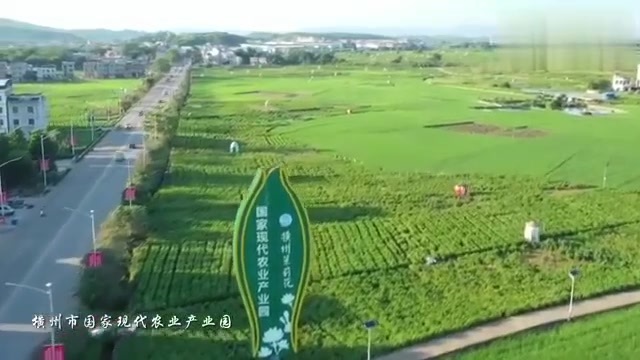 [图]千城胜景|魅“莉”横州