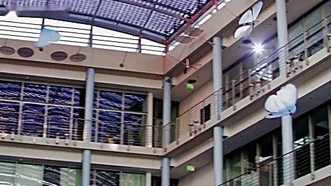 国外牛人自制 遥控蝴蝶,可以成群自动飞翔,不细看还以为是真的呢