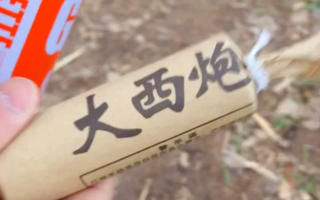 国产大西炮威力如何