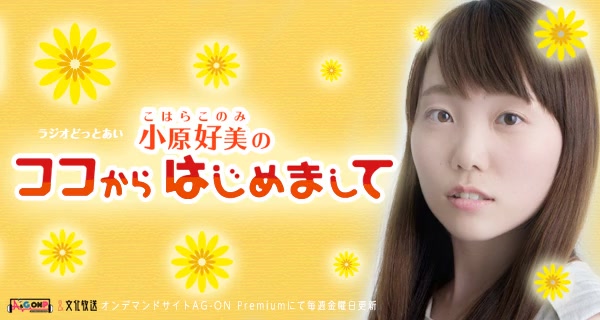 360影视 影视搜索