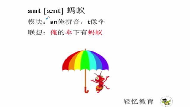 儿童动物英语教学 视频,单词ant 蚂蚁巧记