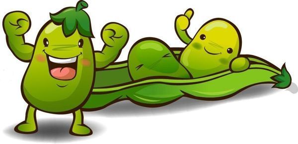 把豆荚和豌豆都在生长改成排比句怎么改?