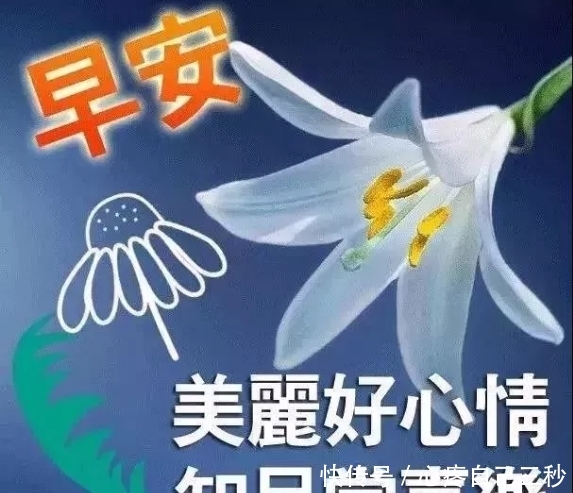 2019祝福语录经典跨年