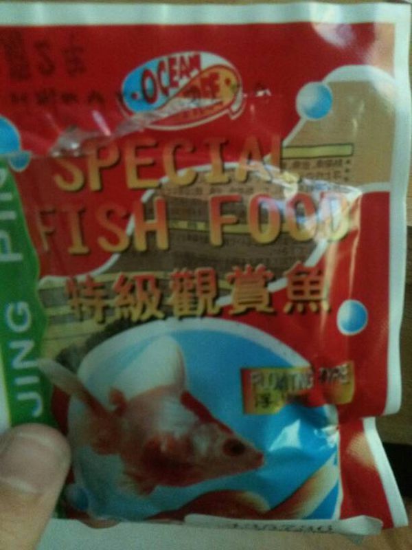 斗鱼像是看不见投喂的鱼食似的是怎么回事以前