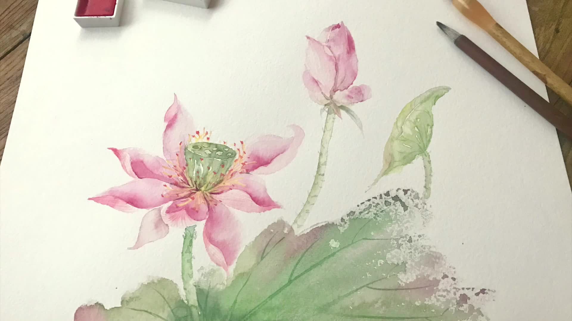 「古风水彩」佛系 荷花的绘制 过程