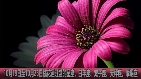 360影视 影视搜索 360影视 影视搜索