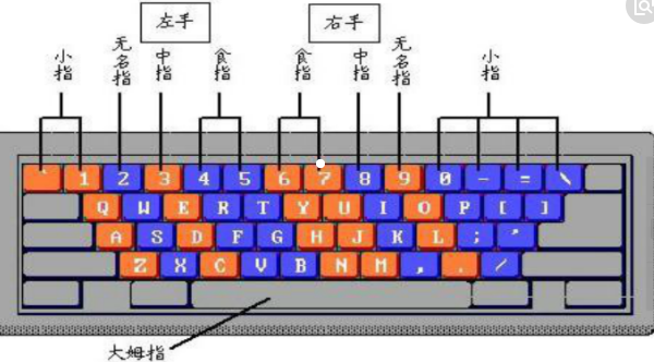 4,了解每个手指在键盘上的位置,并用每个手指分工的方法练习打字.