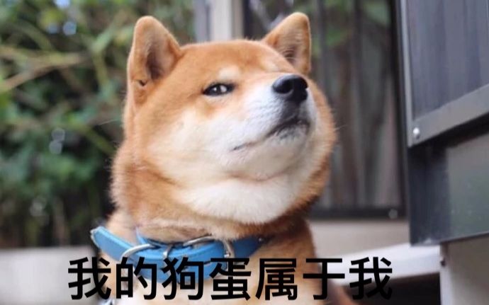 【盗墓 笔记】 动物世界版本,汪汪汪