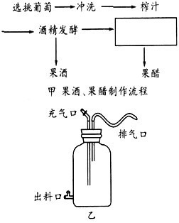 下面是果酒和果醋制作的实验流程和某同学设计的果酒和果醋的发酵装置