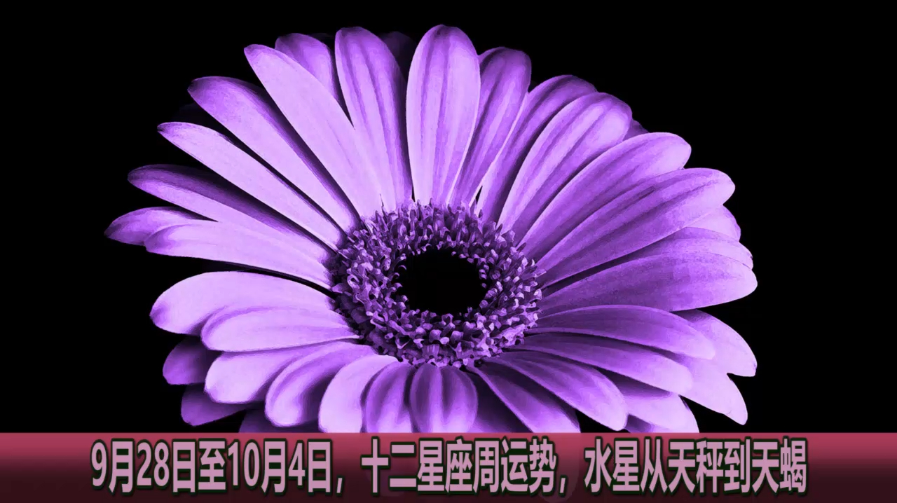 360影视 影视搜索