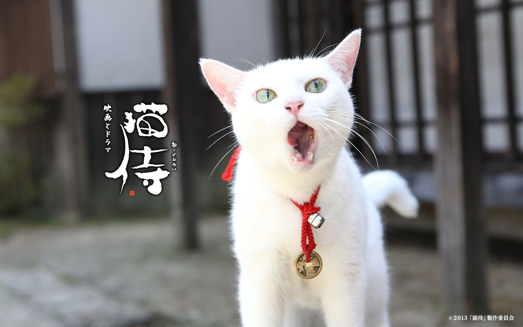 360影视-影视搜索