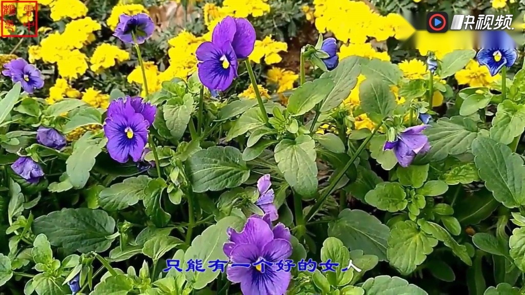 天佑喊麦《女人们你们听好了之二》没有几个女人敢听,你敢听吗?