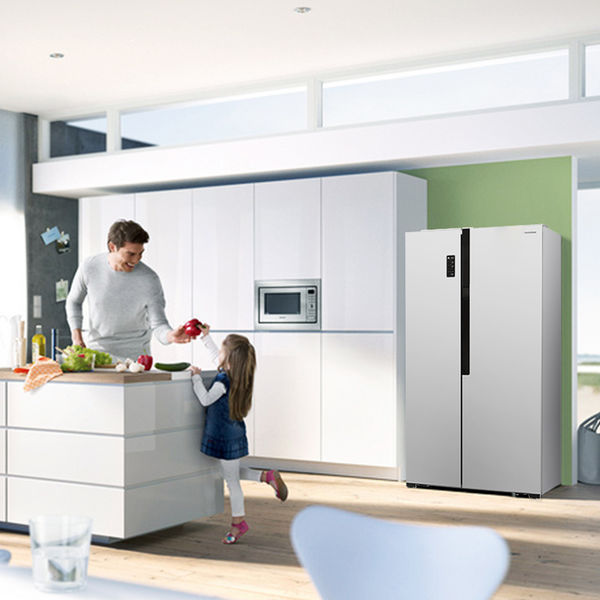 roshelle指的是容声冰箱吗?