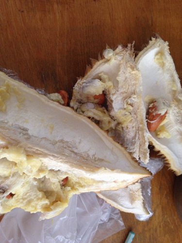 这个榴莲有没有坏掉呢?味道有点怪,大家帮帮忙