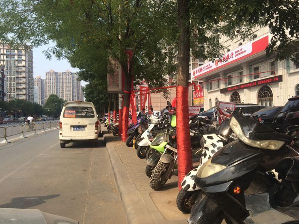 郑州市玉凤路路边画有白线停车位,停车的方向