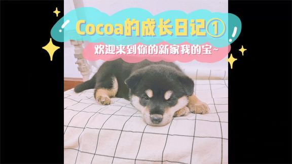 [图]Cocoa的成长日记①