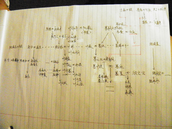 咩……谁能给我安知晓写的一万系列的关系表,还要每本书写的那些人物
