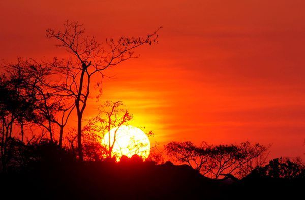 夕阳红是指什么?