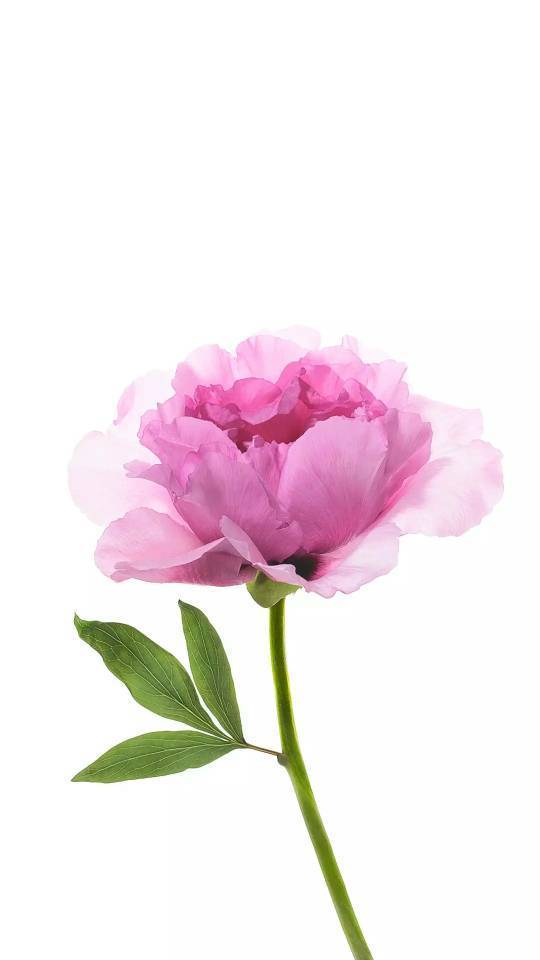 amda8 7500 满载功率多少w?