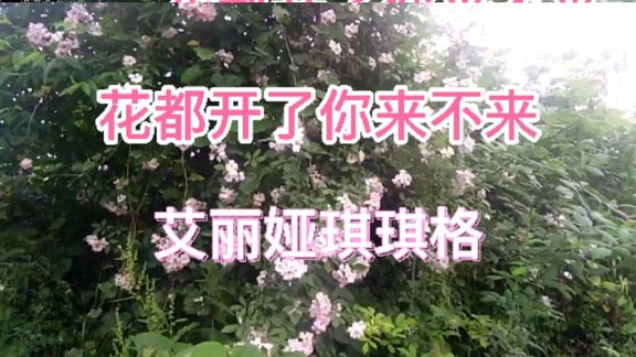 [图]艾丽娅琪琪格《花都开了你来不来》幸福花园等你采摘一路沧海有花