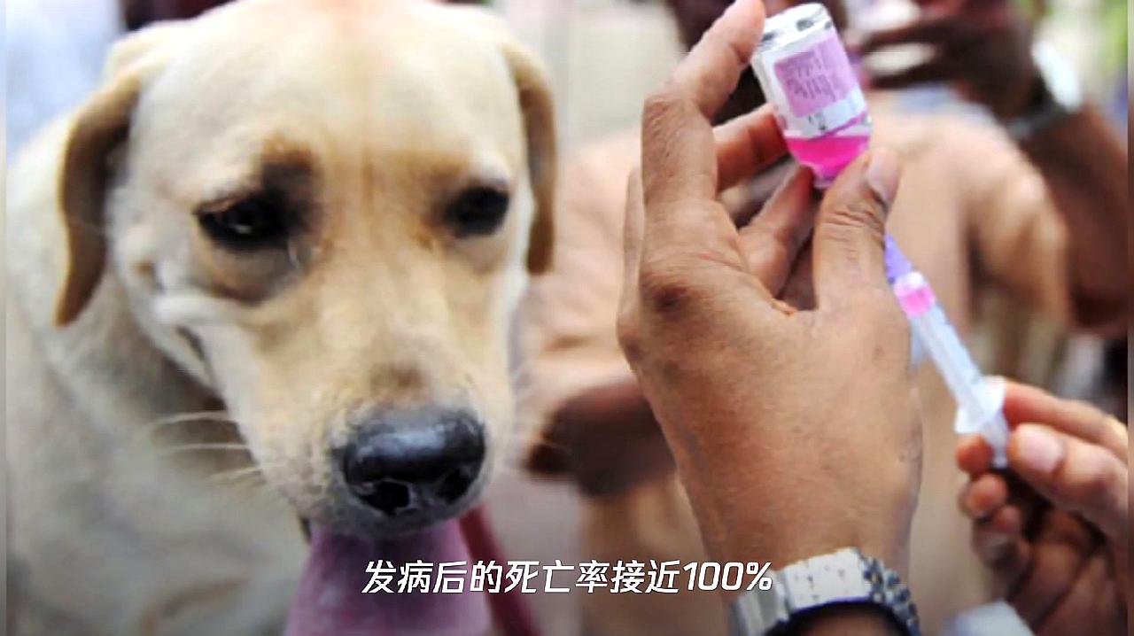 360影视-影视搜索