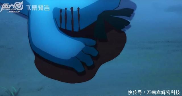 刺客伍六七赤牙师姐是谁