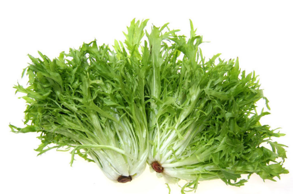 苦菊味略苦,颜色碧绿,可炒食或凉拌,是清热去火的美食佳品.