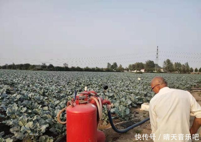 促进农业特色发展