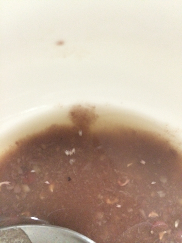 红豆煮完里面这种白色的是什么?