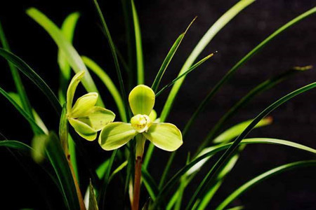 "这句话是什么意思?