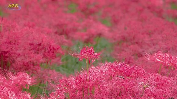 360影视 影视搜索 360影视 影视搜索