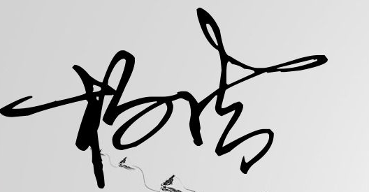 杨洁艺术签名图片