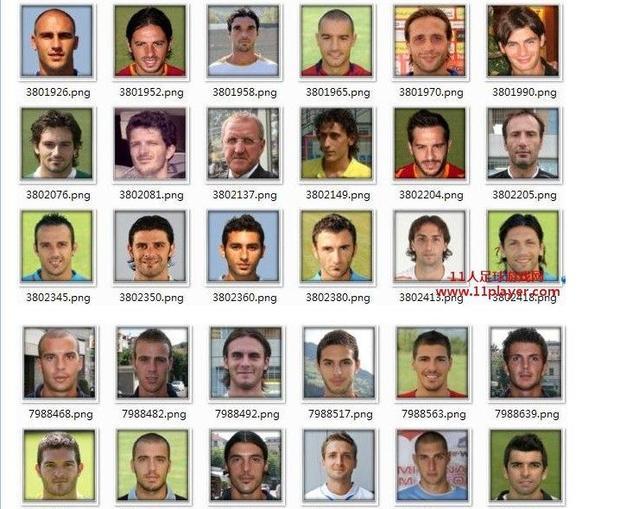 跪求FM足球经理2011,球员人名和头像完全汉化