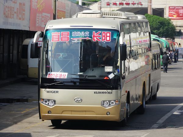 宜昌至长阳的城际公交遇站牌可以停车下人吗