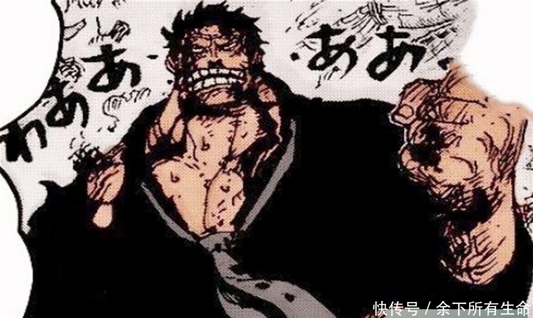 大妈白胡子凯多