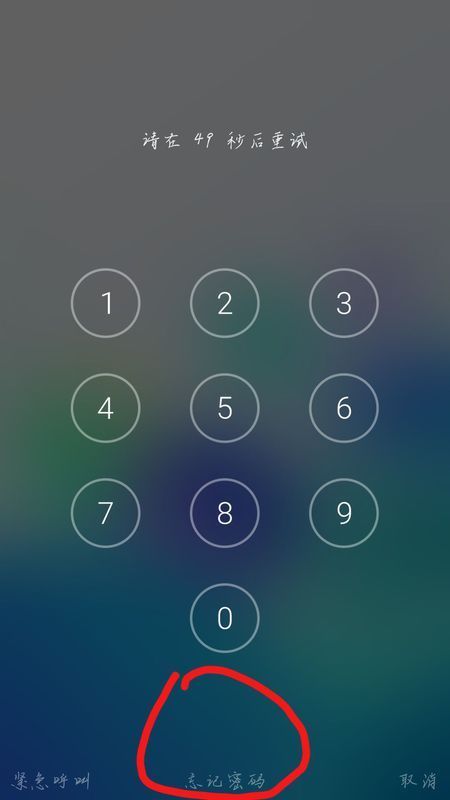 电话忘记密码