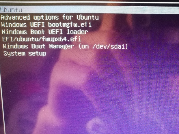 这个windows10和ubuntu双系启动界面