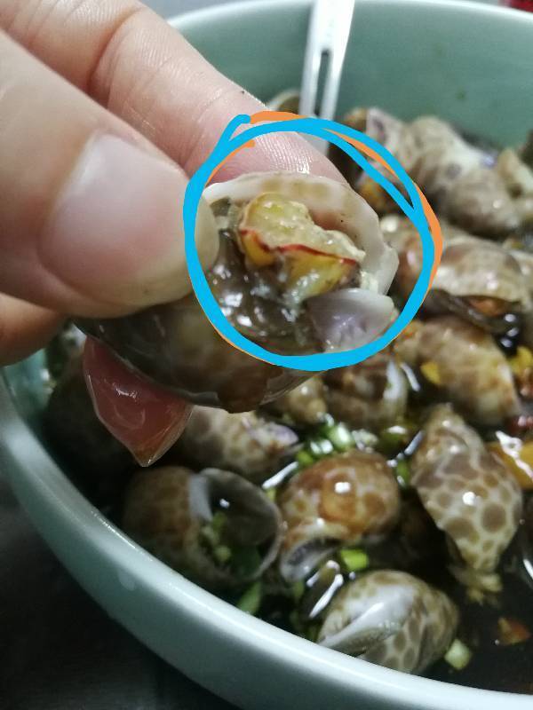 花螺肉上有红色是什么情况?能吃吗?