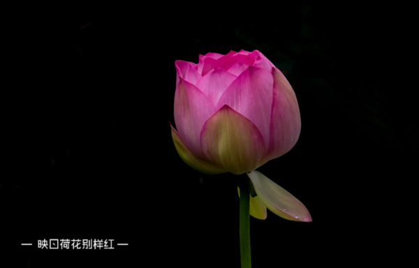 怎么使用photoshop修改照片上的文字