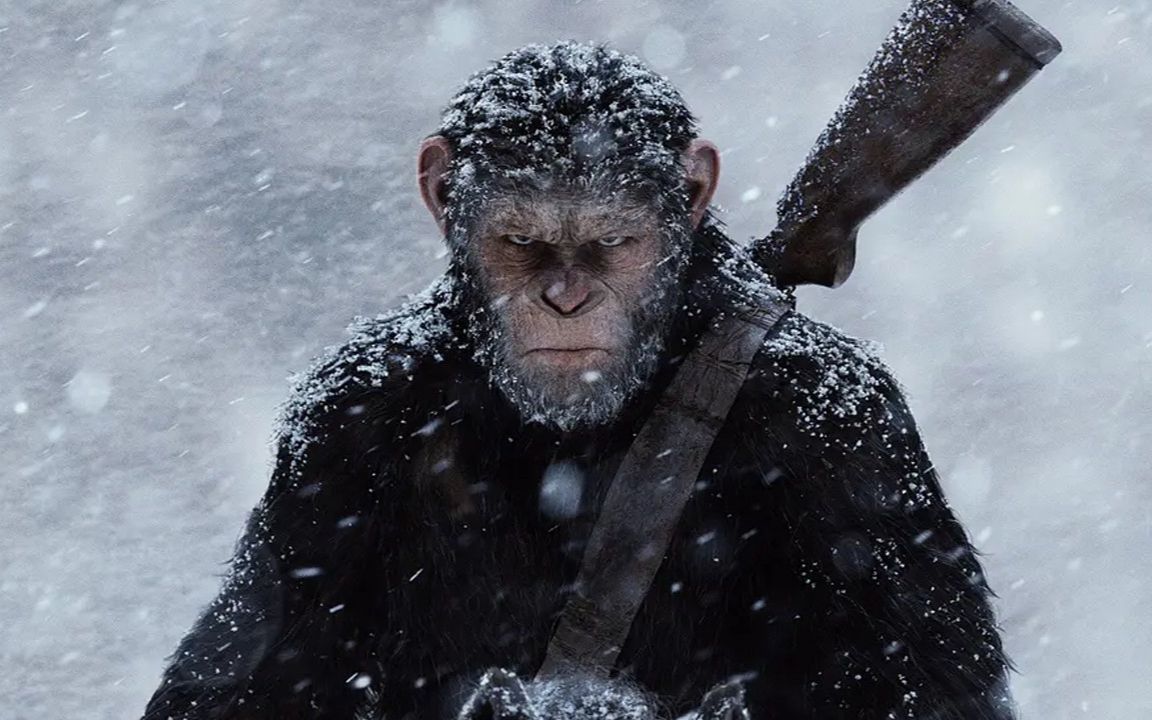 360影视-影视搜索