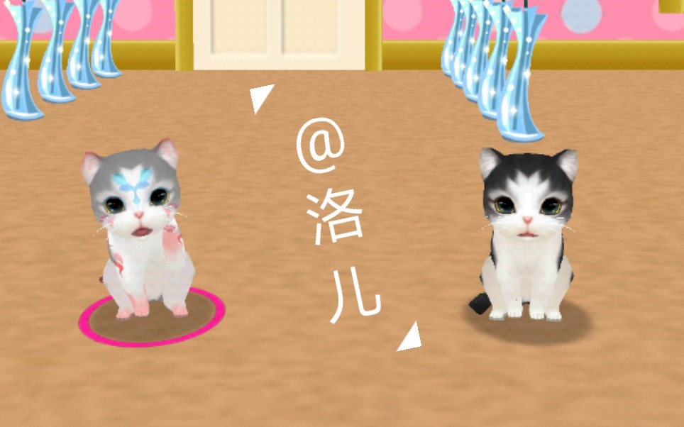 【洛儿】《晴天小猫》是kawaii森林吖