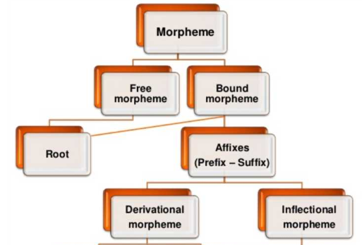 组成关系和种属关系的区别是什么?