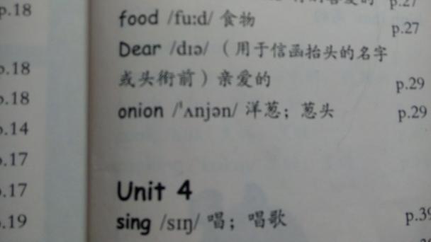 onion怎么发音