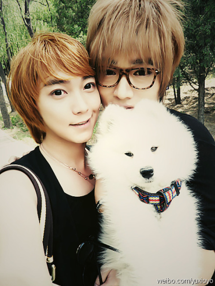 网上拍的哪些妩媚的照片是羽锡的还是oyo的