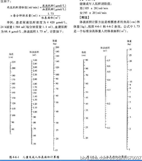 血清肌酐的临床意义