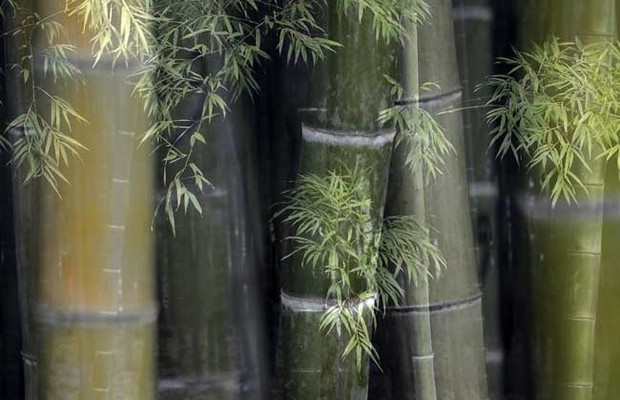 罄竹难书是什么意思?