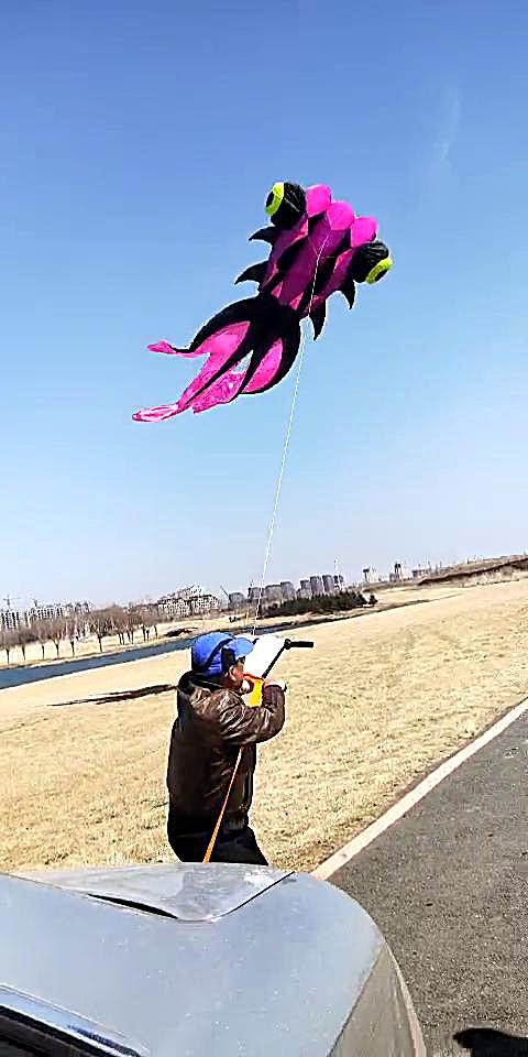 马老四风筝,粉紫色9米金鱼欣赏