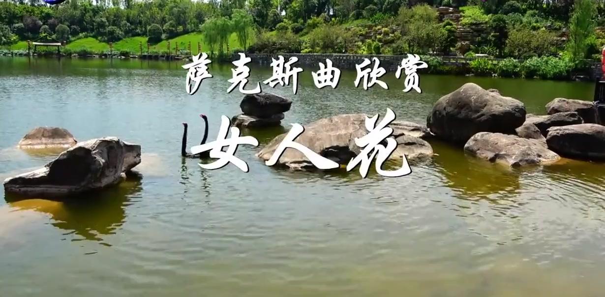 一曲 萨克斯独奏 女人花浪漫抒情 动人心弦
